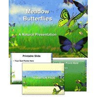 Insects PowerPoint Template