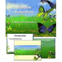 Butterfly PowerPoint Template