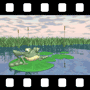 Frog Video