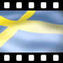 Swedish Video