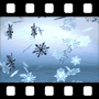 Snow Video