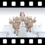 Sleigh Video