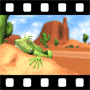 Desert Video