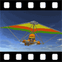 Hang glider