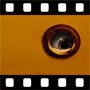 Eye Video