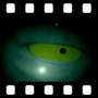 Blinking eye of dinosaur at night