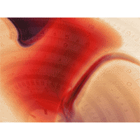 Time generator power point theme