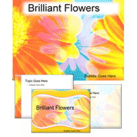 Brilliant flowers