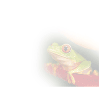 Tree frog prt