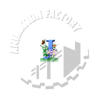 Letter Animation