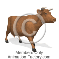 Mammal Animation