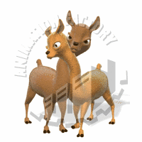 Llamas Animation