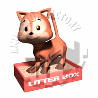Litterbox Animation