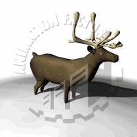 Elk Animation