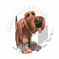 Dog Animation