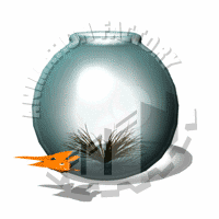 Fishbowl Animation