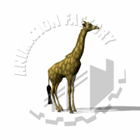 Giraffe Animation