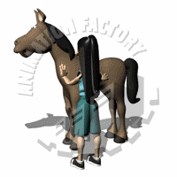 Equestrian Animation