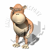 Monkey Animation