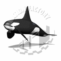 Orca Animation