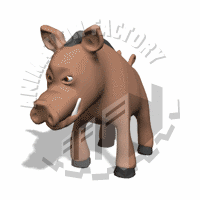 Warthog Animation