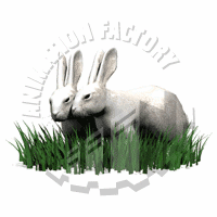 Rabbits Animation