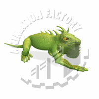 Iguana Animation