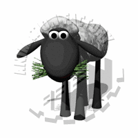 Sheep's Animation