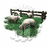 Herd Animation
