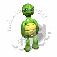 Tortoise Animation