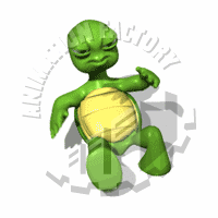 Turtle Animation