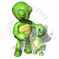 Tortoise Animation