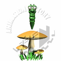 Mushrooms Animation