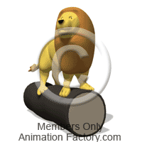 Animal Animation