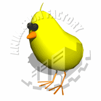 Chick Animation
