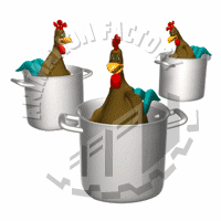 Roosters Animation