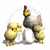Chicken Animation