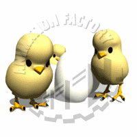 Chicks Animation
