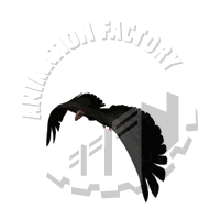 Condor Animation