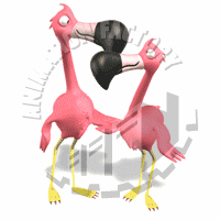 Flamingos Animation