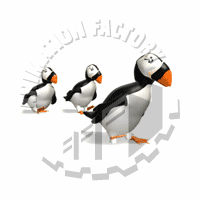 Puffin Animation