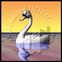 Swan Animation