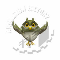 Owl Animation