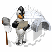 Penguin Animation