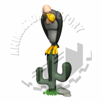 Vulture Animation