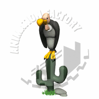 Vulture Animation
