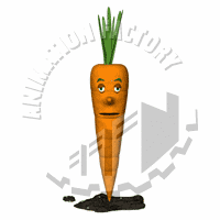 Carrot Animation