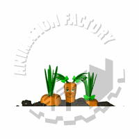 Carrots Animation