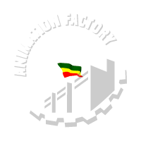 Ethiopian Animation