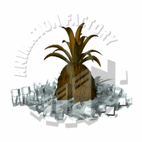Pineapple Animation